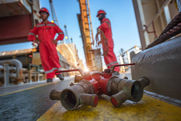 Istockphoto 1131150182 612x612